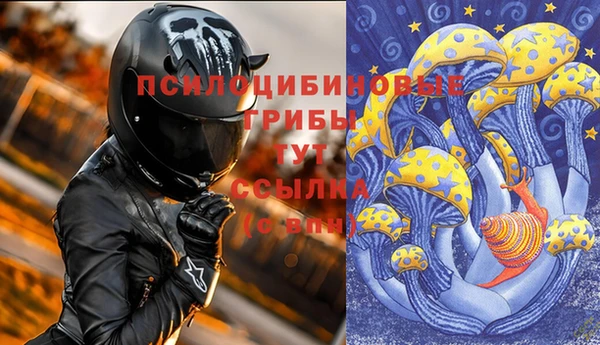 гидра Алексин