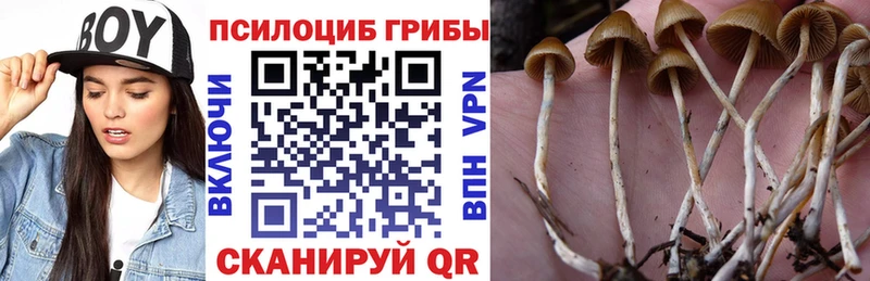 Псилоцибиновые грибы мухоморы Бикин